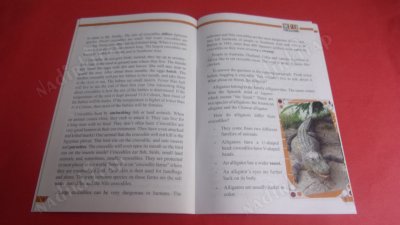 THE CHARISMATIC CROCODILE AND TEHE AMICABLE ALLIGATOR-2