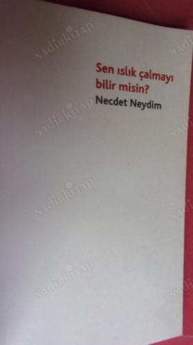 SEN ISLIK ÇALMAYI BİLİR MİSİN ?