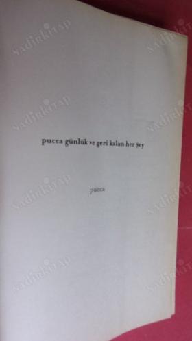 VE GERİ KALAN HER ŞEY - PUCCA GÜNLÜK 2