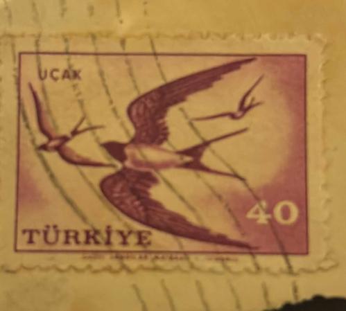 Türk Pulu - Turkish Stamp - Mektup Zarfından Kesilmiş / Postadan Geçmiş Pul Filateli - DAMGALI -KIRLANGIÇ KUŞLARI TEMALI PUL, 40 PARA - Türkiye Cumhuriyeti - NOSTALJİK DOĞUM GÜNÜ HEDİYESİ