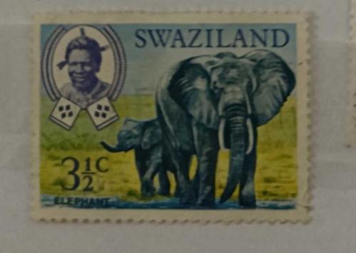 Swaziland _ damgalı pul