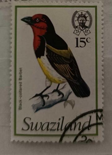 Swaziland _ damgalı pul