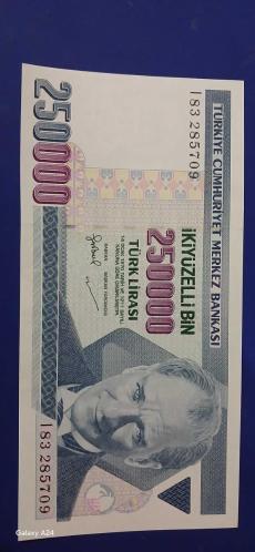 250 bin turk lirasi