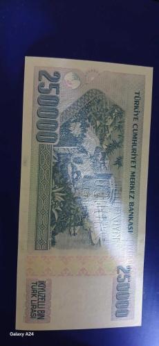 250 bin turk lirasi