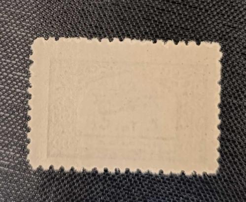 Türk Tayyare Cemiyeti 1933 _ 10 para damgasız sarniyersiz mnh isfila 2026 Katalog değeri 600 tl
