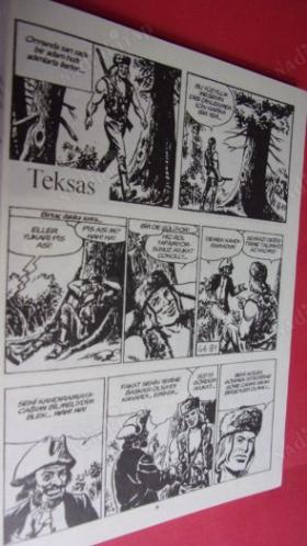 TEKSAS SAYI:33