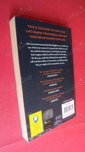 The Brain: The Story of You David Eagleman