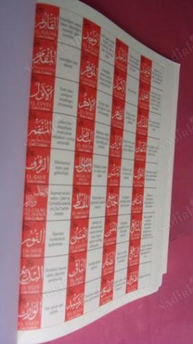 41 YASİN - ELMALILI MUHAMMED HAMDİ YAZIR ESMAÜL HÜSNA TÜRKÇE OKUNUŞLARI VE AÇIKLAMALARI.