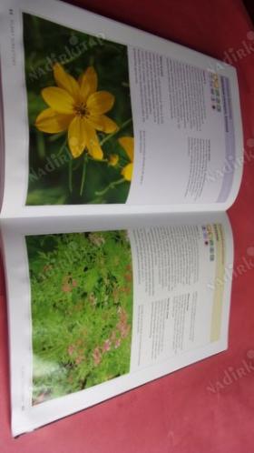 WİLDLİFE FRİENDLY PLANTS
