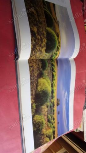 IMAGES OF A TIMELESS LAND AUSTRALIA // İMZALI ..