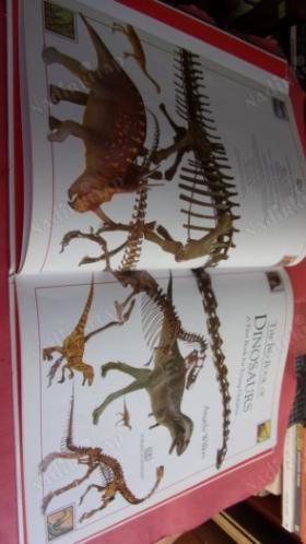 DINOSAURS A.FİRST BOOK FOR YOUNG CHİLDREN
