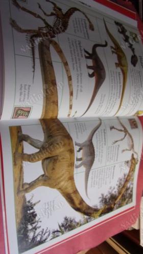 DINOSAURS A.FİRST BOOK FOR YOUNG CHİLDREN