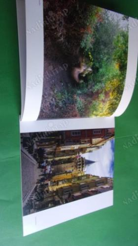 4. GALATA FOTOĞRAFÇILARI FOTOĞRAF SERGİSİ FOTOĞRAFLAR '14