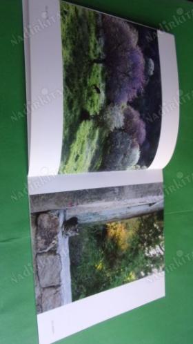 3. GALATA FOTOĞRAFÇILARI FOTOĞRAF SERGİSİ / FOTOĞRAFLAR'13 (21 EYLÜL-20 EKİM 2013)