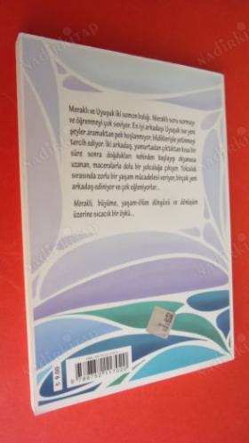MERAKLI - Bir Somon Balığının Serüvenleri