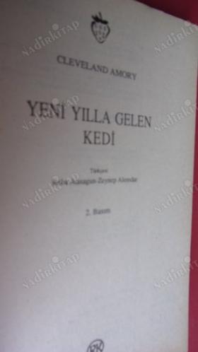 YENİ YILLA GELEN KEDİ
