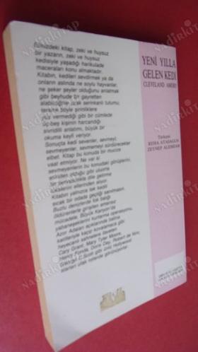 YENİ YILLA GELEN KEDİ