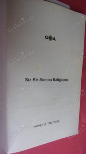 SİZ BİR SOMON BALIĞISINIZ