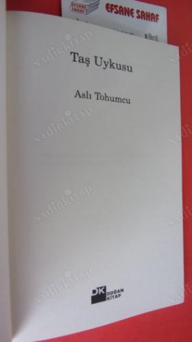 TAŞ UYKUSU