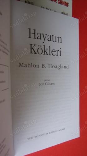 HAYATIN KÖKLERİ