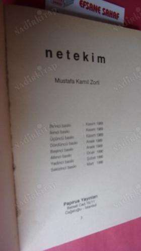 NETEKİM TOPLU YAPITLAR -1: AKILLAR FİKİRLER