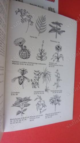 Bunte Welt Der Zimmerblumen - 120 Zierpflanzen In Farbe