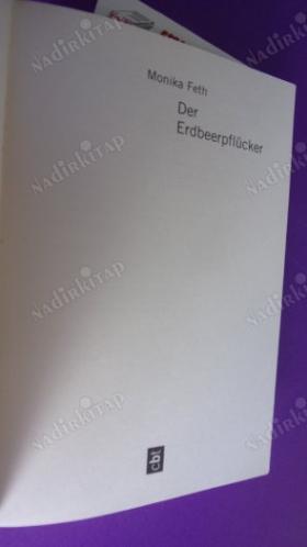 DER ERDBEERPFLÜCKER ( çilek toplayıcı )