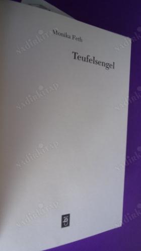TEUFELSENGEL (Şeytanın Meleği / RomyThriller Cilt 1 )