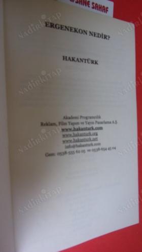 ERGENEKON NEDİR