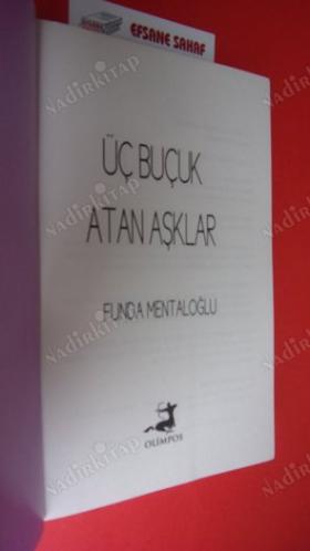 ÜÇ BUÇUK ATAN AŞKLAR Hala Arıyorum