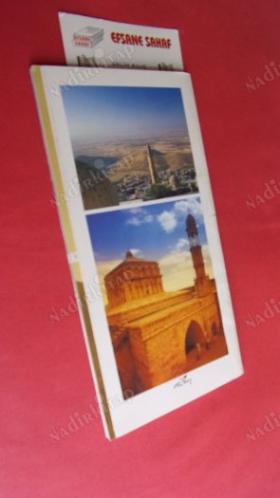 MARDİN