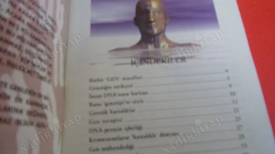 GENLER HAKKINDA MERAK ETTİĞİNİZ HER ŞEY