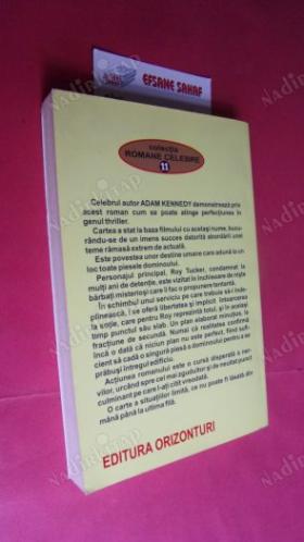 PRINCIPIUL DOMINOULUI