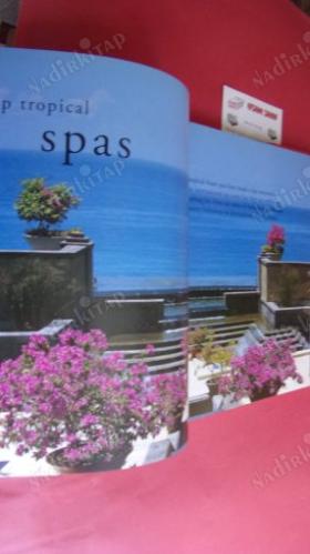 The Tropical Spa: Asian Secrets of Health, Beauty and Relaxation Paperback  March 15, 2004
