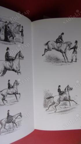 A COMPENDIUM OF ILLUSTRATIONS FREE 2 X CDROM GRATI-