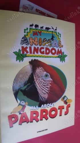 MY ANIMAL KINGDOM ALL ABOUT .PARROTS.9