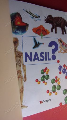 NASIL İNSANLAR NASIL YAŞLANIR CAM NASIL KEŞFEDİLDİ YILDIZLAR NASIL OLUŞMUŞTUR