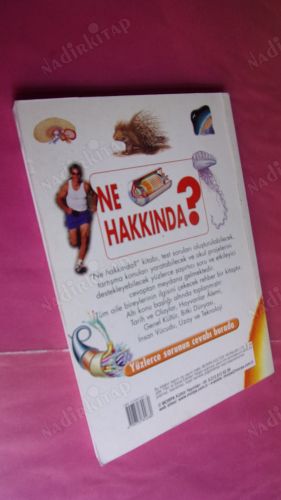 NE HAKKINDA ? Yüzlerce Sorunun Cevabı Burada
