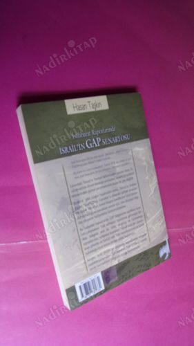 İSTİHBARAT RAPORLARINDA İSRAİL'İN GAP SENARYOSU Güneydoğu Topraklarında Neler Oluyor?