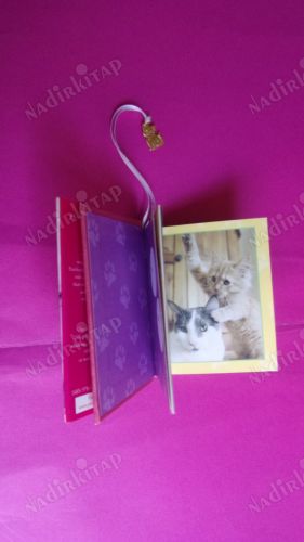 KITTENS.MUSINGS FROM THE LITTERBOX OF LİFE