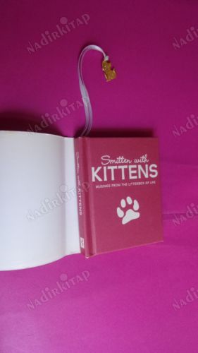 KITTENS.MUSINGS FROM THE LITTERBOX OF LİFE