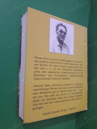 Jan und sein Wildpferd Balthasar.