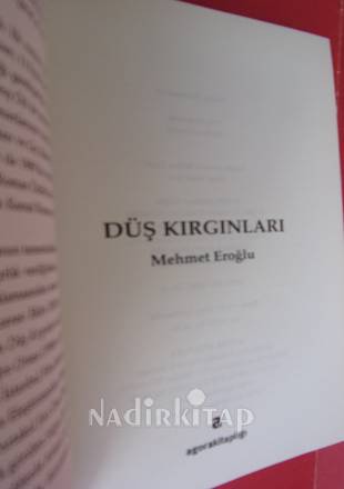 DÜŞ KIRGINLARI