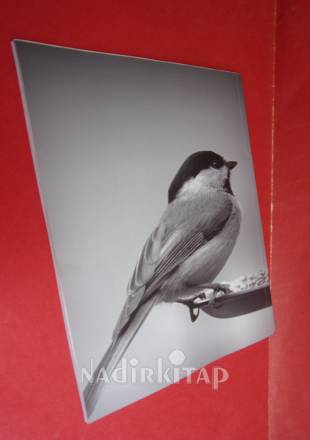 LA DERGİSİ SAYI .4.MAYIS .2016. İLLA MAKAMININ YOLCULARI.