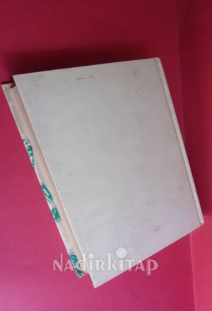 INTERNATIONAL BUSINESS MANAGEMENT / A Guide to Decision Making