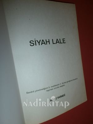 SİYAH LALE