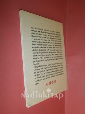 SU TAŞIYAN KARINCA (Yarımada da Dört Mevsim )