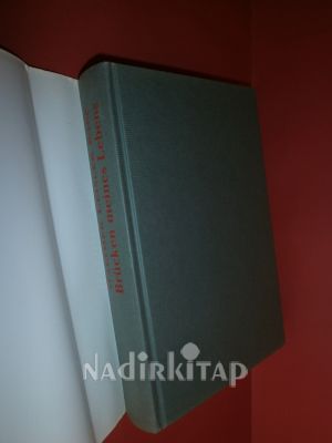 BRÜCKEN MEINES LEBENS - DİE ERİNNERUNGEN --- Hayatımın Köprüler