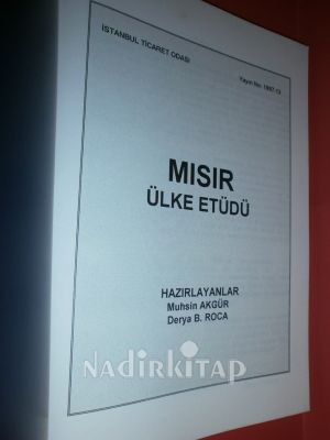 MISIR ÜLKE ETÜDÜ
