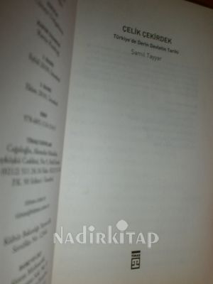 ÇELİK ÇEKİRDEK / TÜRKİYE'DE DERİN DEVLETİN TARİHİ